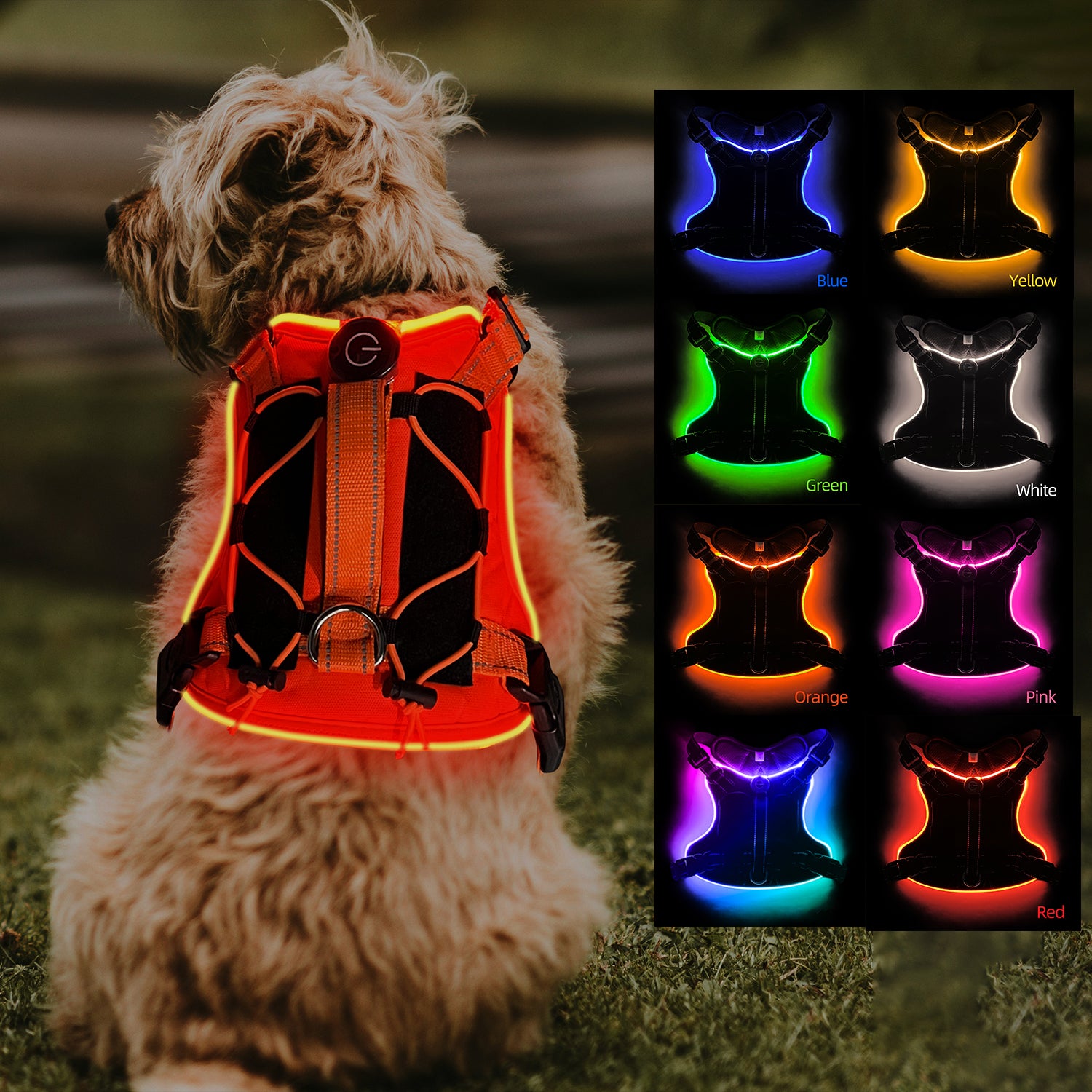 Rechargeable LED Safety Harness for Dogs - Sarri