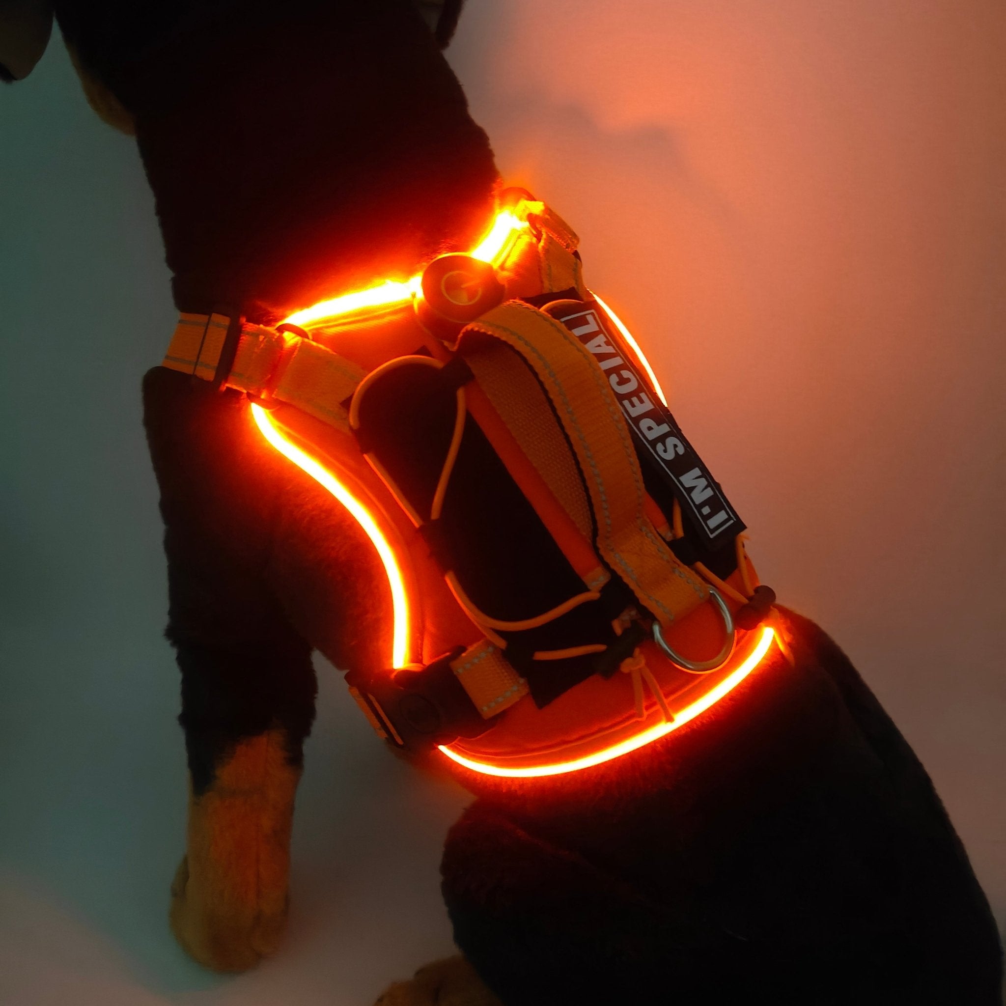 Rechargeable LED Safety Harness for Dogs - Sarri